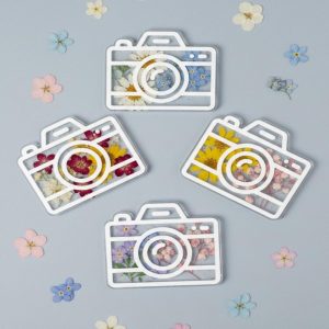 قالب دوربین